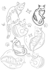 Animal Design heart with cats in lines. Hand drawn vector illustration. 