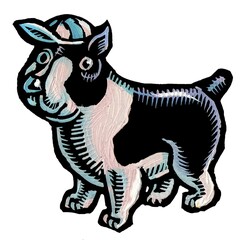 Obraz premium chubby terrier or spotted pitbull in a blue and white cap