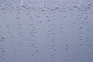 Transparent plastic texture with water drops. Transparent white plastic background. Wet transparent polyethylene film with droplets of water after rain. Water drops close-up.