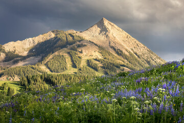 Crested Butte Summer Sunset