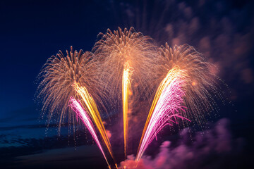 Fireworks Explosion Vibrant Colors Night Sky Celebration Display