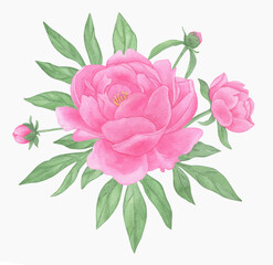 Hand painted floral elements set. Watercolor botanical illustration of peony and leaves.