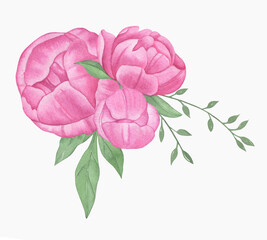 Hand painted floral elements set. Watercolor botanical illustration of peony and leaves.
