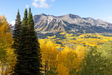 autumn landscape in the mountains