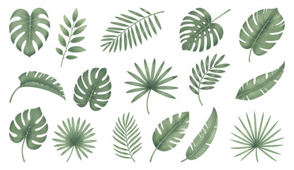 Set of tropical floral watecolor. Tropical green leaves on white background. Watercolor set of vector tropical leaves.
