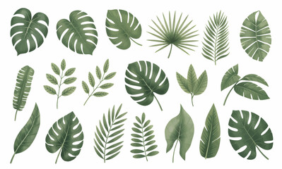 Botanical tropical leaves with soft hand painted. Tropical leaf collection in natural watercolor textures.