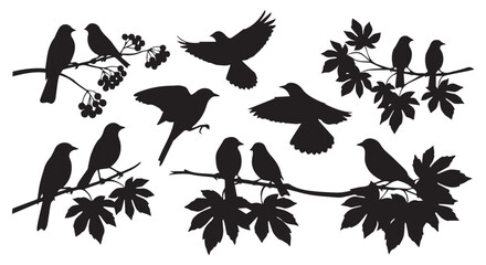 Fototapeta premium Collection of bird silhouettes perched on branches isolated on transparent background