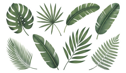 Botanical tropical leaves with soft hand painted. Tropical leaf collection in natural watercolor textures.