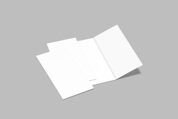 Premium DL Flyer Blank Mockup