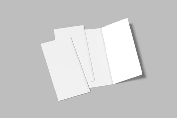 Premium DL Flyer Blank Mockup