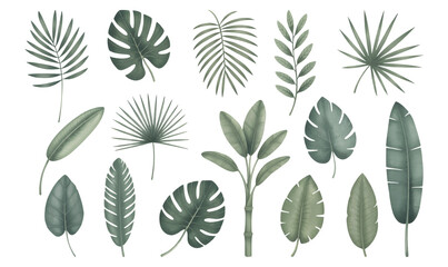 Botanical tropical leaves with soft hand painted. Tropical leaf collection in natural watercolor textures.
