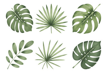 Botanical tropical leaves with soft hand painted. Tropical leaf collection in natural watercolor textures.