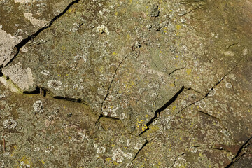 Close-up texture of weathered rock surface covered in lichen and moss