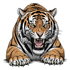 Intense Roaring Tiger Vector Art Illustrating the Majestic Power and Ferocity of a Wild Predator with Piercing Eyes and Aggressive Snarl