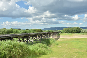 夏の流れ橋(京都府八幡市)