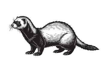 Ferret Animal Portrait in Vintage Woodcut Style Etching