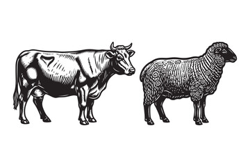 Bull and Sheep Farm Animals Woodcut Style Illustration