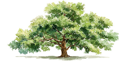 Large green tree with spreading branches © darkheaven