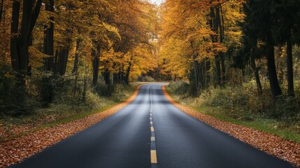 Obraz premium road leading to a beautiful autumn forest generative ai
