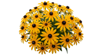 A vibrant bouquet of bright yellow flowers on transparent background