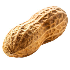 Obraz premium Single Peanut Isolated on White Background