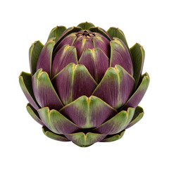 Obraz premium Pristine, hyperdetailed globe artichoke with vibrant purple and emerald green bracts, isolated on a clean high-key white background, commercial studio shot. Concept of natural organic symmetry