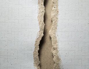 Realistic vertical torn paper, irregular organic rip, fibrous paper strands visible