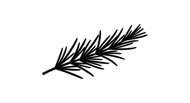 A simple black and white illustration depicting a single coniferous tree branch with needle like leaves