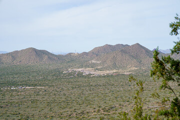 View from the Wind Cave Trail at Usery Mountain Park Tonto National Forest Arizona. Phoenix sign in background