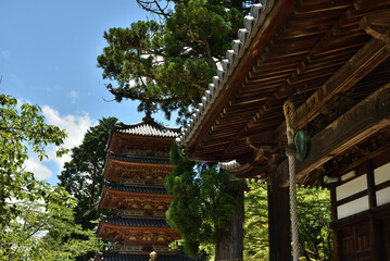 夏の海住山寺　本堂から見た五重塔(京都府木津川市)