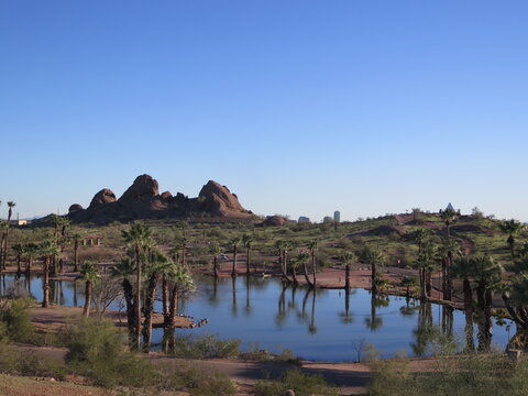 Phoenix &ndash; parc avec palmiers et cours d&rsquo;eau, Rose Garden / Encanto