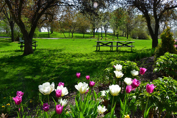 The plains of Abraham in spring, Qu&eacute;bec, Canada