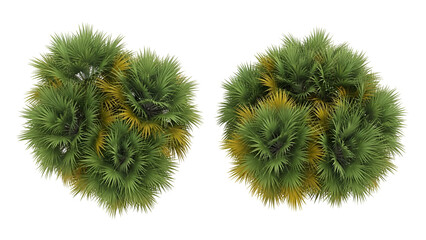 Two green pine cone arrangements