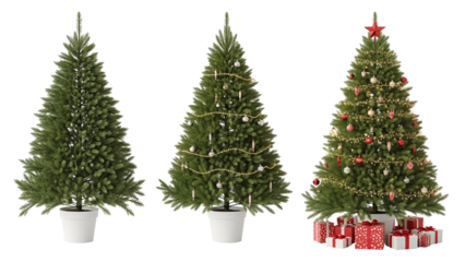 Three christmas trees in various stages of decoration
