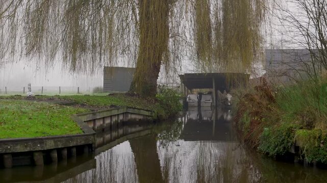 Quiet And Secluded Natural Spot Featuring Flowing Lake With Arching Willow And Misty Shores