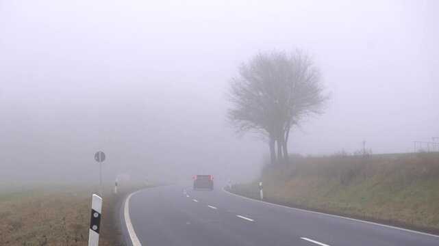 Foggy road with a lone roadside tree and cars driving through dense mist. Moody low visibility travel scene for safety, weather, and autumn driving concepts.