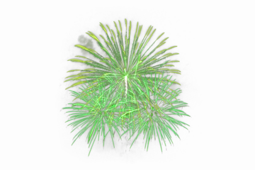 Green firework explosion isolated for celebratory design