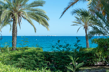 View of Tabarca Island on the horizon among palm trees and vegetation, Santa Pola, Alicante, Spain