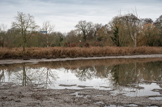 Reflections of winter trees in the ponds of Abdij van Park, Kessel-Lo, Leuven