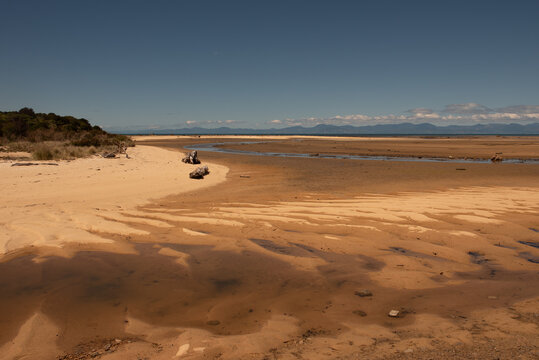 Sandy beach with driftwood logs at low tide. Sandy Bay at the start of the Abel Tasman Track, New Zealand.