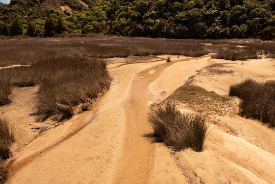 Small stream flowing over sand from the salt marsh at the head of Sandy Bay, at the start of the Abel Tasman Track, New Zealand.