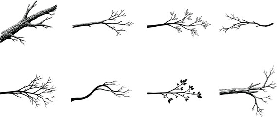 Obraz premium Vector silhouette of bare tree branches in black on white background