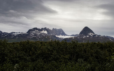 Jagged mountains on the Denali Highway