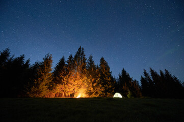 Illuminated tent and glowing campfire create warm ambiance on grassy clearing under clear, starry sky with visible shooting star. Tall pine trees frame scene, enhancing beauty of night in nature.
