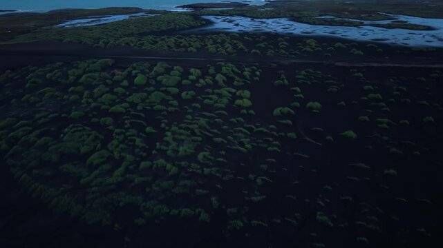 Aerial View of Green Mossy Vegetation on Black Volcanc Sand