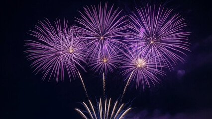 Fototapeta premium A vibrant fireworks display lights up the night sky with purple and white explosions