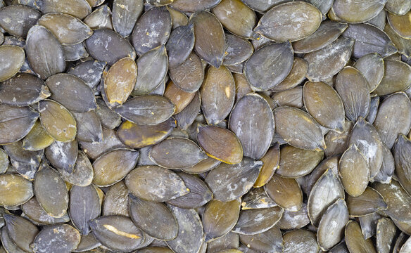 Ger&ouml;stete K&uuml;rbiskerne in einer Nahaufnahme