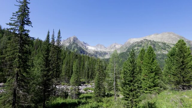 Beautiful summer mountain landscape. Altai, Russia