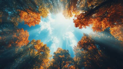 Looking up through vibrant autumn trees with golden and orange leaves against a bright blue sky, with sunbeams piercing through the canopy.