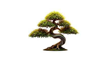 Floating bonsai tree, twisted trunk, tiny leaves, png